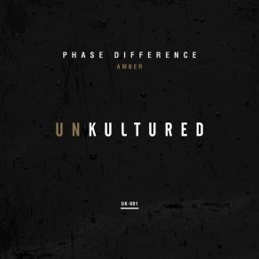 Download track Amber (Original Mix) Phase Difference