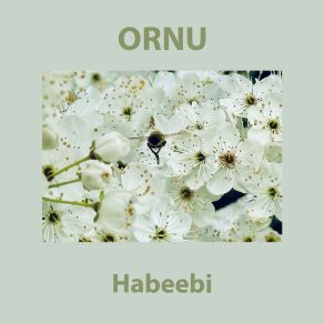 Download track Bavshvi Ornu