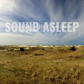 Download track Calming Distant Wind Drone Sounds, Pt. 17 Elijah Wagner