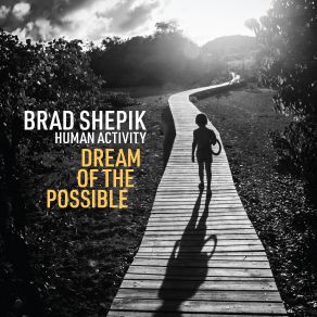 Download track Still Heat Brad Shepik