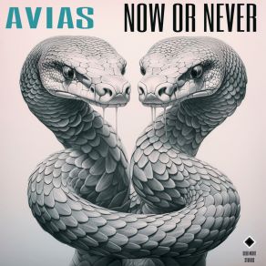 Download track Now Or Never Avias