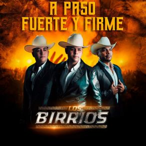 Download track Nos Seguimos Amando Los BirriosSinaloa, Herrantes De Chihuahua