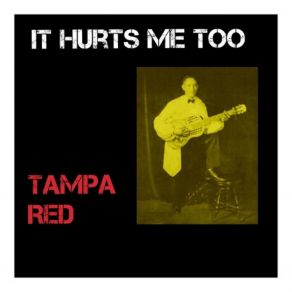 Download track Worried Life Blues Tampa Red