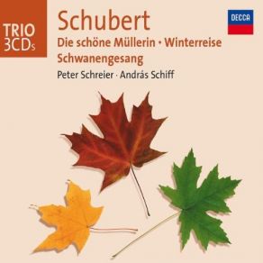 Download track Schwanengesang, D. 957: Nr. 13. Der DoppelgÃ¤nger Peter Schreier, András Schiff