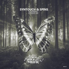 Download track Soaring (Extended Mix) Spins, Syntouch