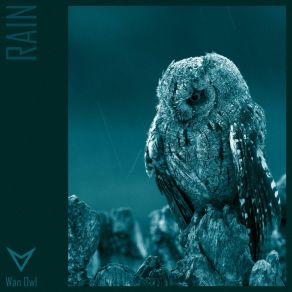 Download track Rain (Radio Mix) Wan Owl