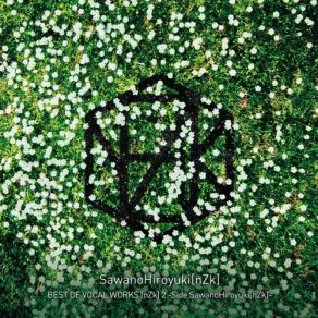 Download track Tranquility (Remastered) Sawanohiroyuki (Nzk)