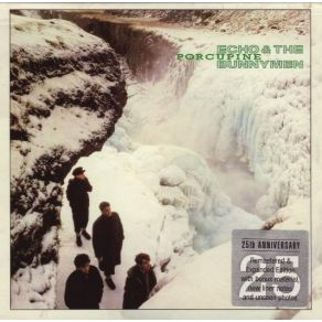 Download track Porcupine (Alternate Version) Echo & The Bunnymen