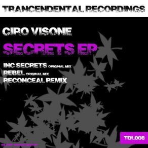 Download track Rebel (Original Mix) Ciro Visone