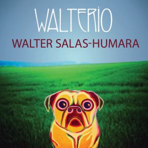 Download track Will You Be Ready Walter Salas-Humara