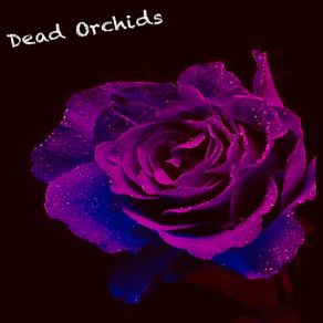 Download track Sign My Life Away Dead Orchids