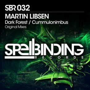 Download track Dark Forest (Original Mix) Martin Libsen