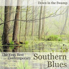 Download track Moonlight Over The Mississippi Royal Southern Brotherhood