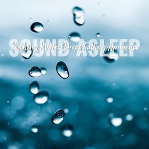 Download track Soothing Water Drops Falling Ambience, Pt. 16 Elijah Wagner