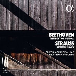 Download track 2. Beethoven: Symphony No. 3 Op. 55 Eroica - I. Allegro Con Brio Sinfonia Grange Au Lac