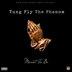 Download track Meant To Be Yung Fly