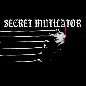 Download track Why Am I The One Secret Mutilator