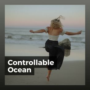 Download track Legitimately Ocean Calm Sea Sounds