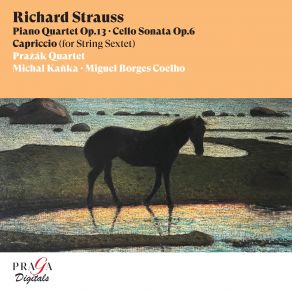 Download track Piano Quartet In C Minor, Op. 13 IV. Finale. Vivace Prazak Quartet, Jaromír Klepác, Michal Kanka