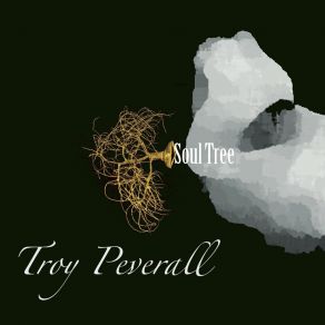 Download track Music Is Your Mistress Troy Peverall