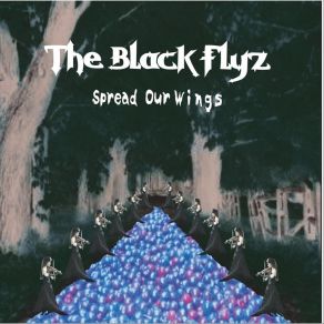 Download track Spread Our Wings The Black Flyz