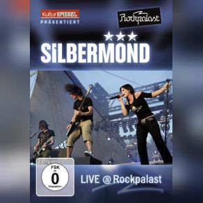 Download track Immer Am Limit Silbermond