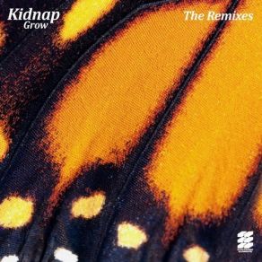 Download track Grow (Dave Ralph's Opus Remix) KidnapLeo Stannard