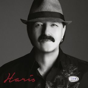 Download track Jos Sam Neko Tvoj Haris Dzinovic