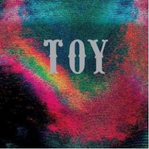 Download track The Reasons Why Toy