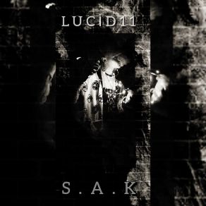 Download track Yalnız Lucid11Fox Sin Emre