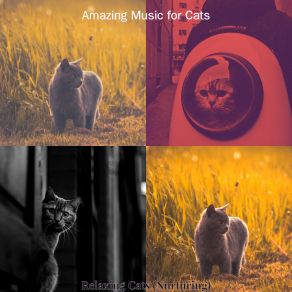 Download track Sleeping Cats - Ambience Amazing Music For Cats