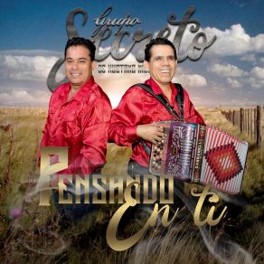 Download track Chaparrita Pelo Largo Grupo Secreto De Huetamo