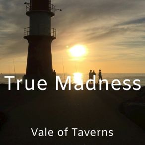 Download track True Madness Vale Of Taverns