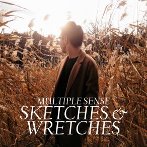 Download track Misconception Multiple Sense