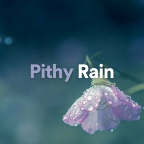 Download track Portly Rain Clear Mind Raining