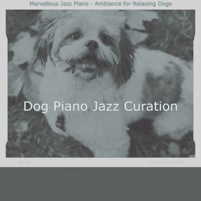 Download track Piano Jazz Soundtrack For Relaxing Dogs Dog Jazz Curation