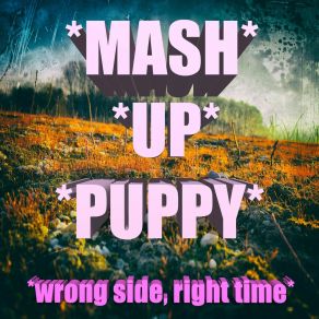 Download track Wrong Side Mash Up Puppy