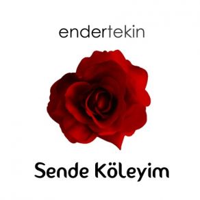 Download track Can Ahmedim Ender Tekin