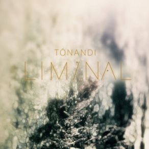 Download track Blue Orb I' Tónandi Liminal