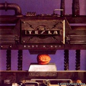 Download track Need Your Lovin' Tesla