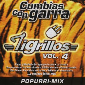 Download track Por Cuanto Me Lo Das Los Tigrillos