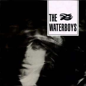 Download track Where Are You Now When I Need You? The Waterboys