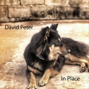 Download track The Huckster Peter David