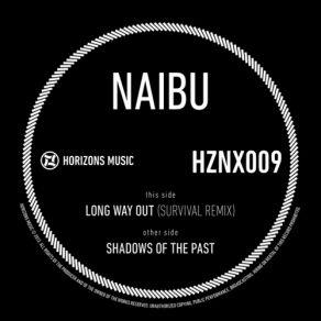 Download track Shadows Of The Past Naibu