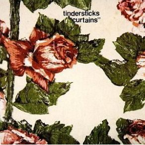 Download track Dick'S Slow Song Tindersticks