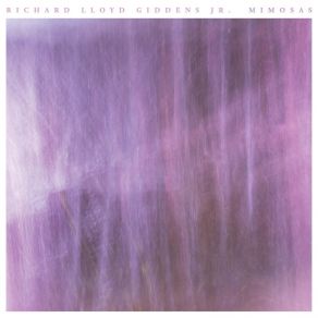 Download track Storm Richard Lloyd Giddens Jr