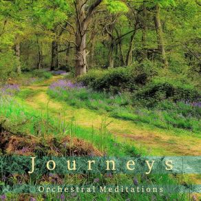 Download track Magical Forest Orchestral Meditations