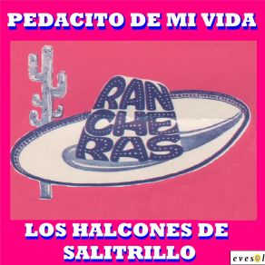 Download track Juanita Alvarado Los Halcones De Salitrillo