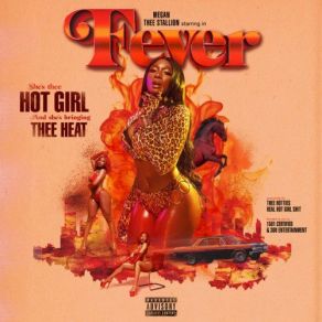 Download track Best You Ever Had Megan Thee Stallion