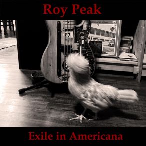 Download track Never Said Roy PeakNehedar